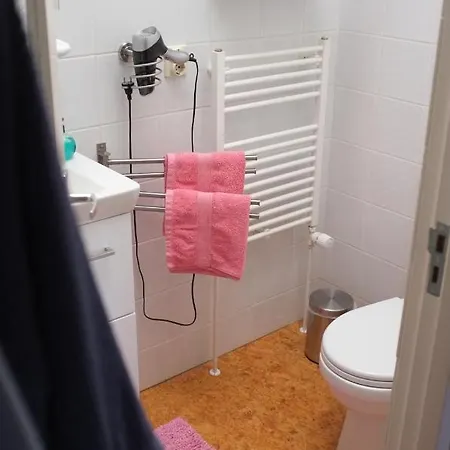 Bed and breakfast De Hamsche Kuul 3*