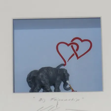 De Hamsche Kuul Bed & Breakfast