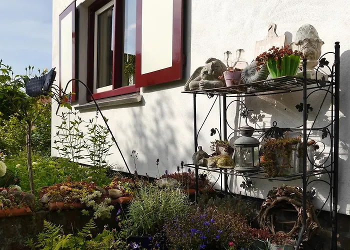 Bed & Breakfast De Hamsche Kuul Oosterbeek