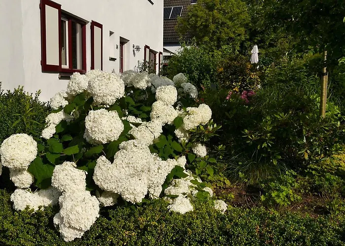 Bed & Breakfast De Hamsche Kuul