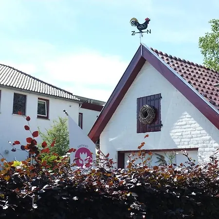De Hamsche Kuul