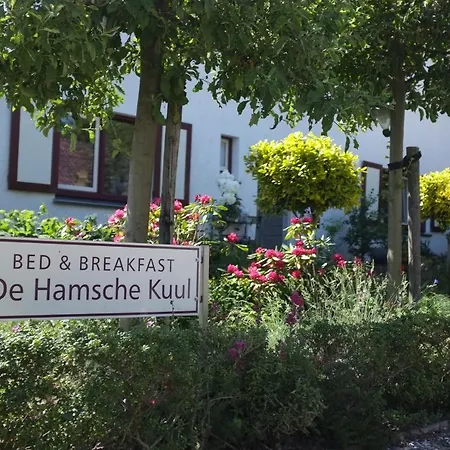 De Hamsche Kuul לינה וארוחת בוקר אוסטרבייק